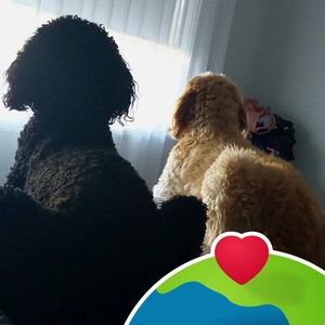 Meet your Posher, Angie